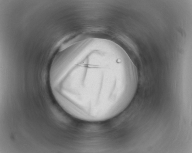 X0000113610107200910161938