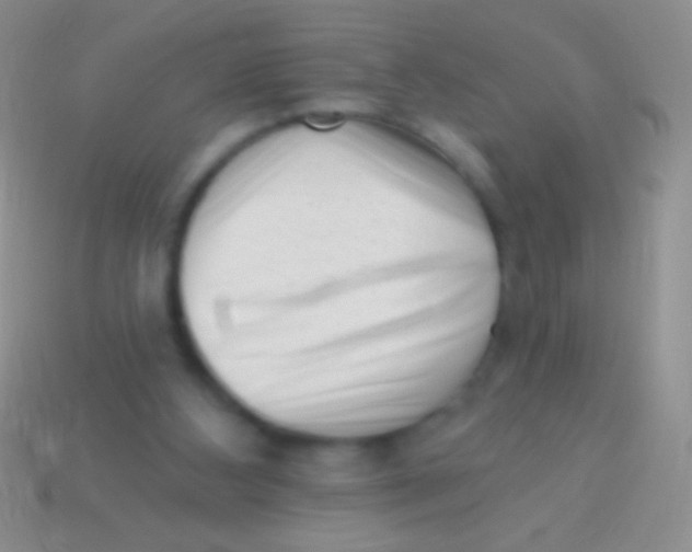 X0000113610108200910161938