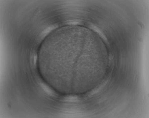 X0000113610110200910161938