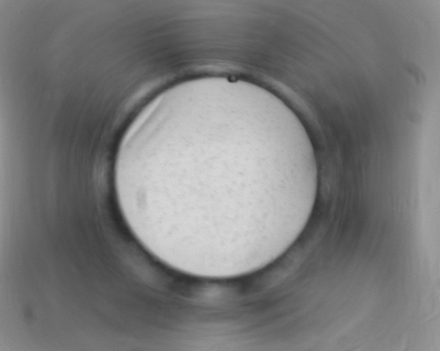 X0000113610111200910161938