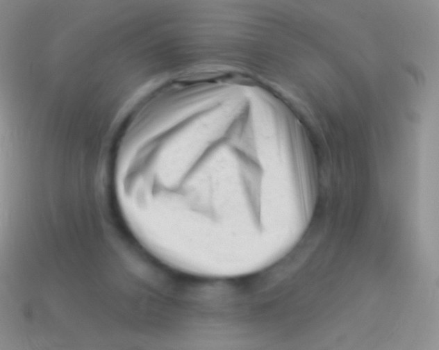 X0000113610112200910161938