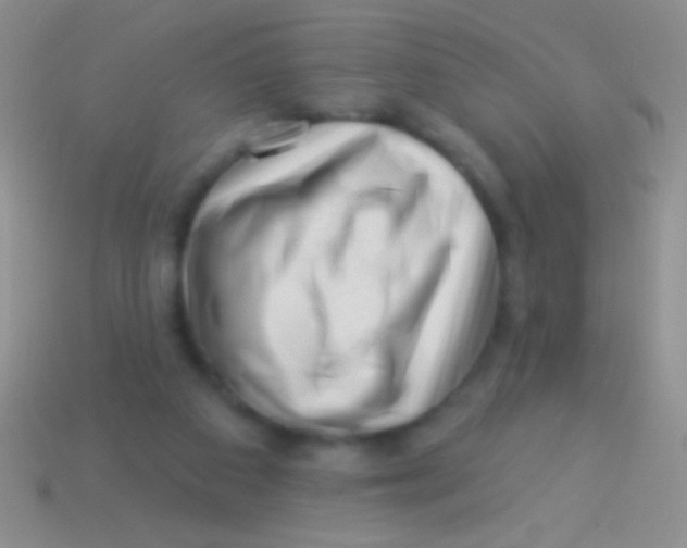 X0000113610113200910161938