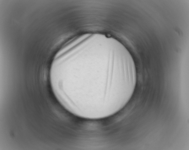 X0000113610115200910161938