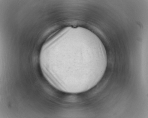 X0000113610119200910161938