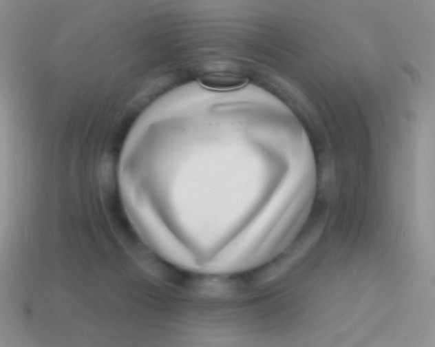 X0000113610121200910161938