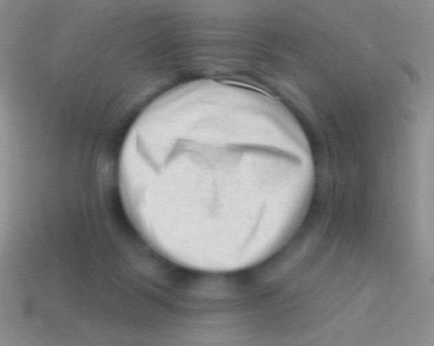 X0000113610123200910161938