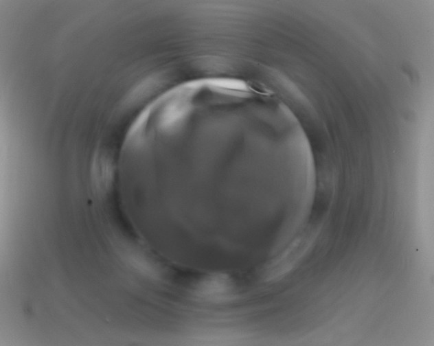 X0000113610124200910161938