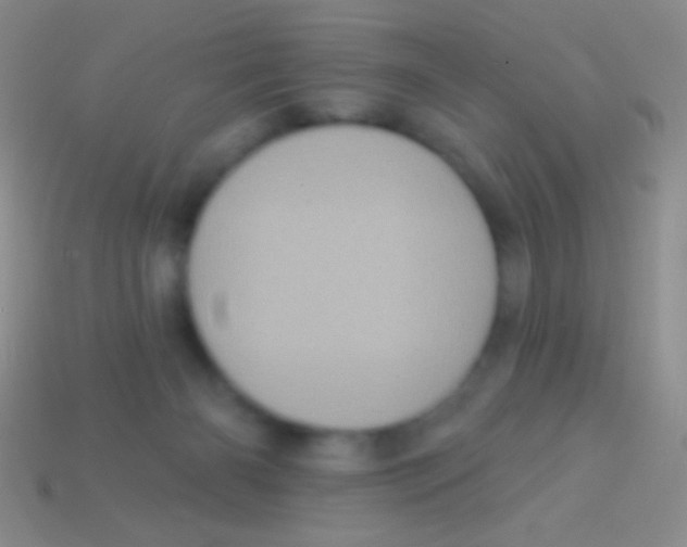 X0000113610126200910161938