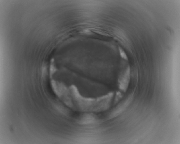 X0000113610127200910161938