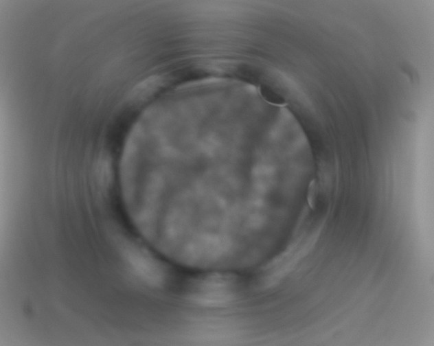 X0000113610128200910161938