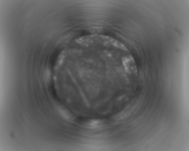 X0000113610130200910161938