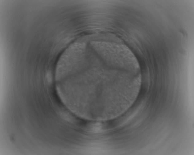 X0000113610131200910161938