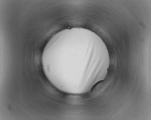 X0000113610133200910161938