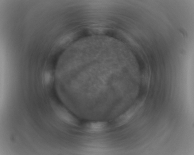 X0000113610134200910161938