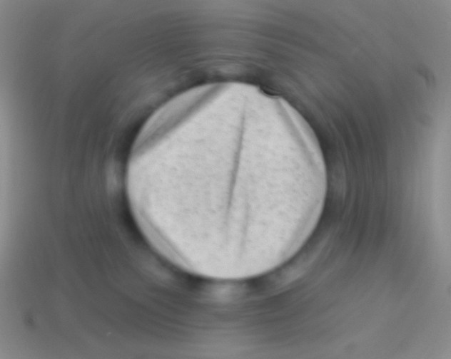 X0000113610135200910161938