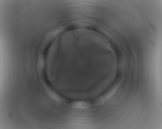 X0000113610137200910161938