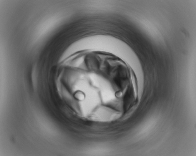 X0000113610140200910161938