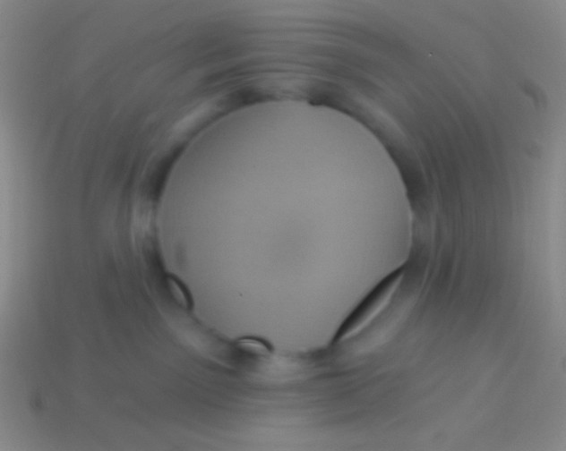 X0000113610141200910161938