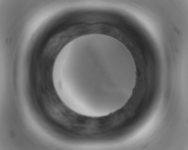 X0000113610143200910161938