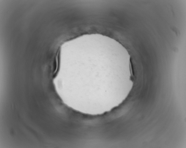 X0000113610144200910161938