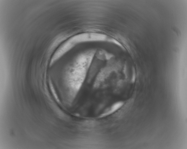 X0000113610145200910161937