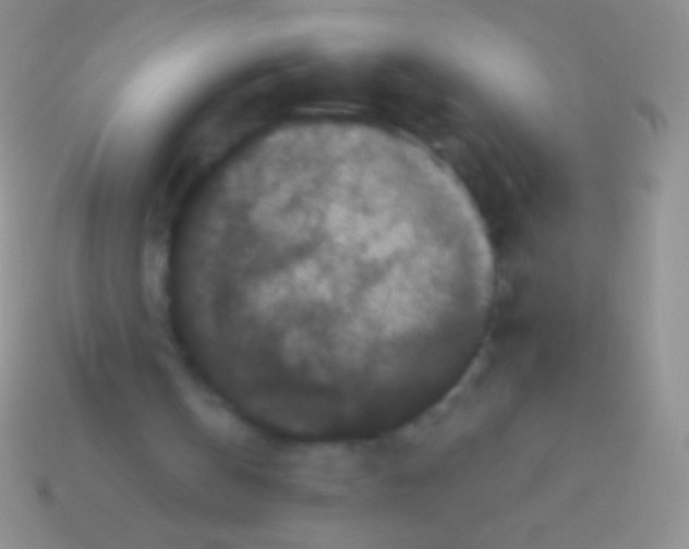 X0000113610146200910161937