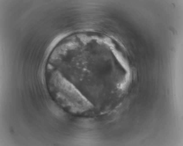 X0000113610147200910161937