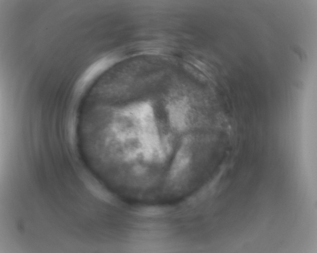 X0000113610149200910161937