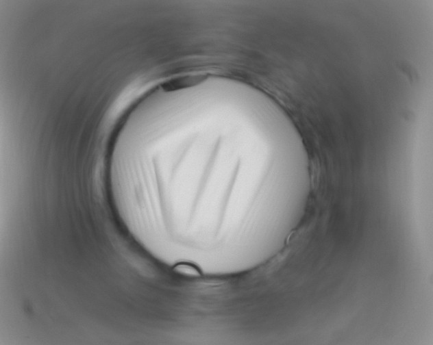 X0000113610150200910161937