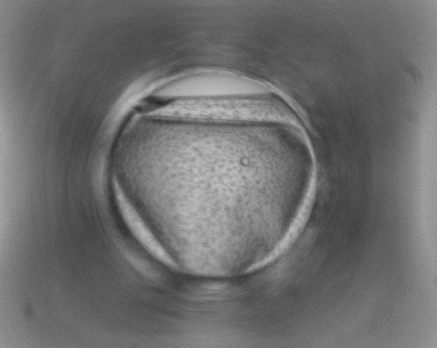 X0000113610151200910161937