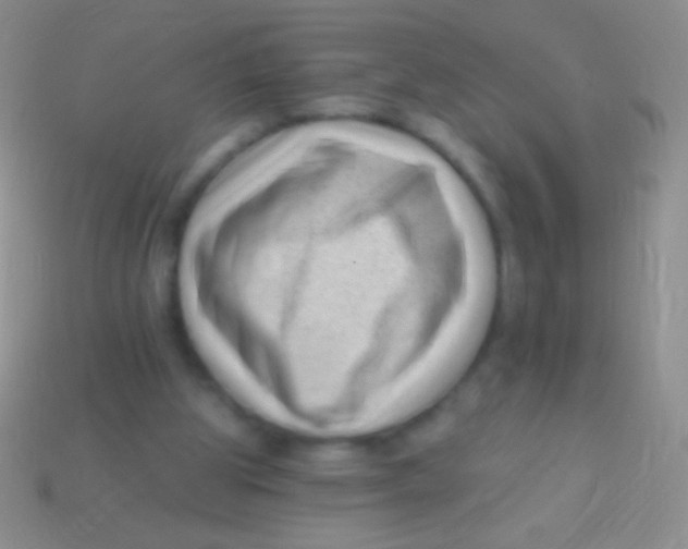 X0000113610153200910161937