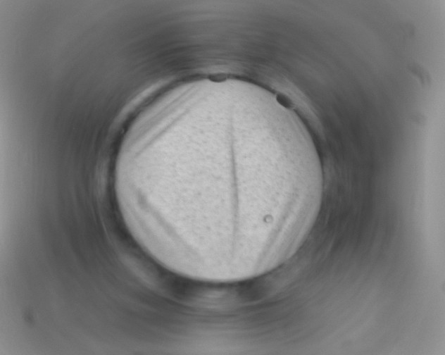 X0000113610155200910161937