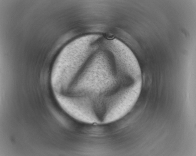 X0000113610156200910161937