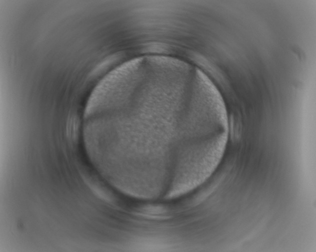 X0000113610157200910161937