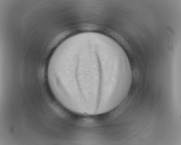 X0000113610159200910161937