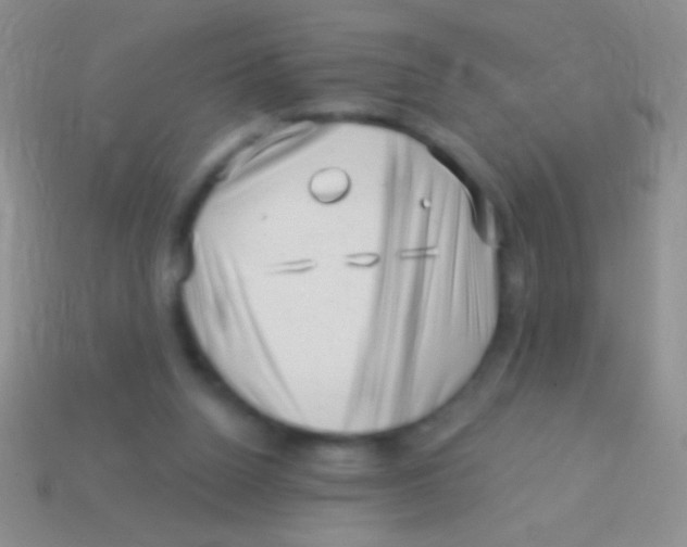 X0000113610160200910161937