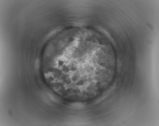 X0000113610161200910161937