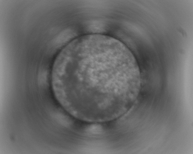 X0000113610162200910161937