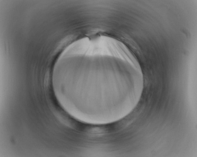 X0000113610163200910161937