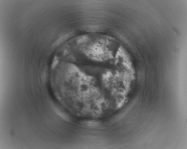 X0000113610165200910161937