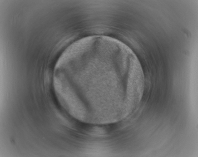 X0000113610166200910161937