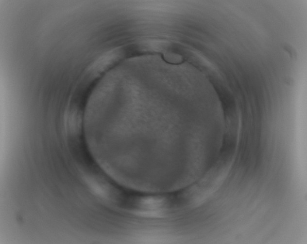 X0000113610168200910161937