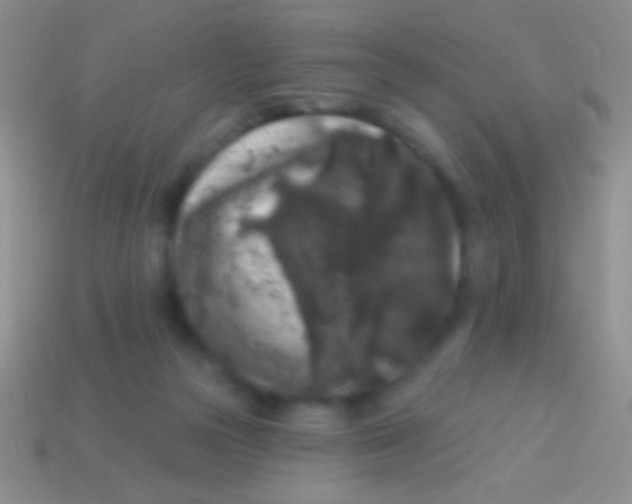 X0000113610169200910161937