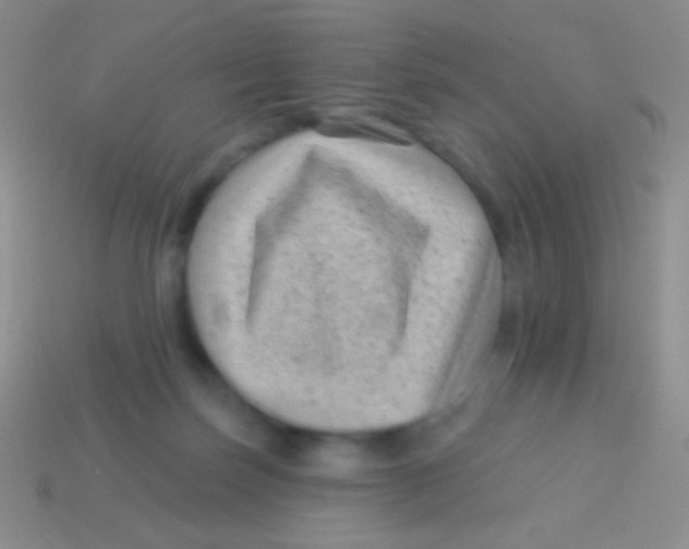 X0000113610171200910161937