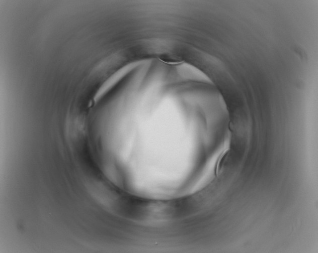 X0000113610172200910161937