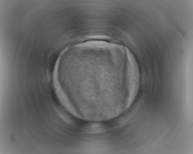 X0000113610173200910161937