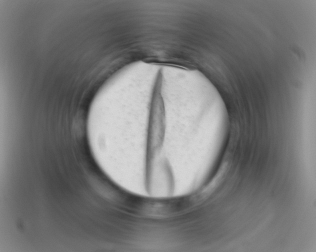 X0000113610174200910161937