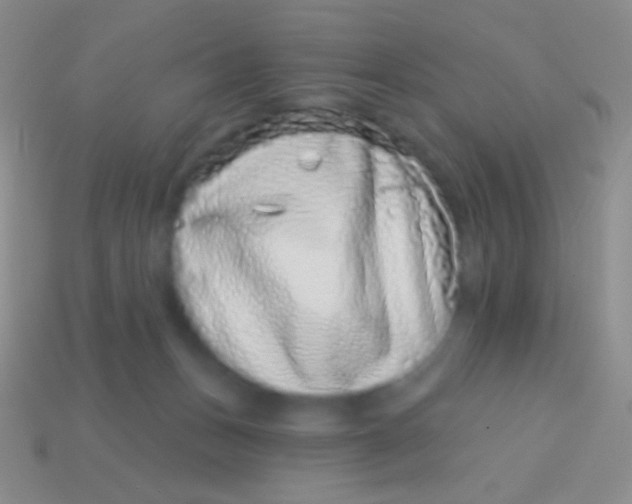 X0000113610175200910161937