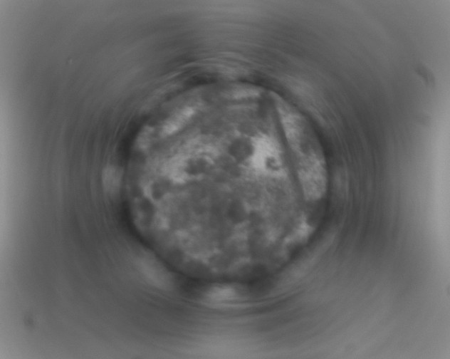 X0000113610177200910161937