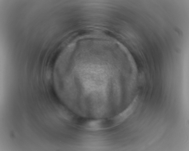 X0000113610178200910161937